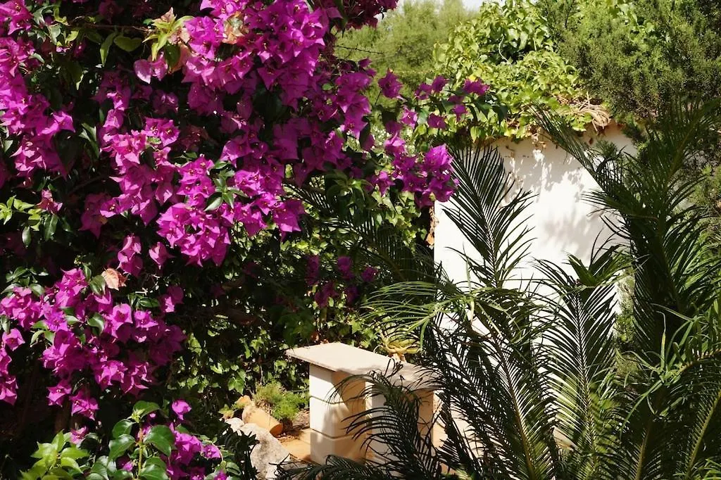 Villa Cala Mendia Spain